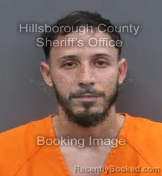 Mugshot of NANKI FERLUIS PAGAN RAMOS booked in Hillsborough County, Florida on June 13, 2026