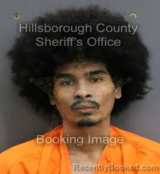 Mugshot of MARK STEVEN JR WATSON booked in Hillsborough County, Florida on June 13, 2026