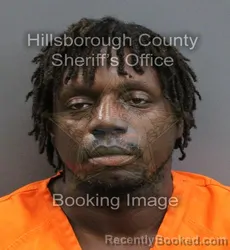 Mugshot of COREY MICHAEL BIVINS booked in Hillsborough County, Florida on June 13, 2026