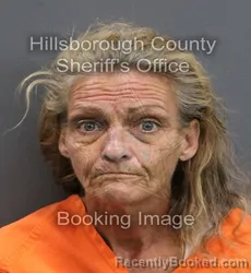 Mugshot of CARRIE GAIL MCCLELLAN booked in Hillsborough County, Florida on June 13, 2026