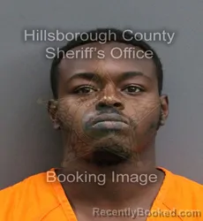 Mugshot of JARVIS ELIJAH JOHNSON booked in Hillsborough County, Florida on June 13, 2026