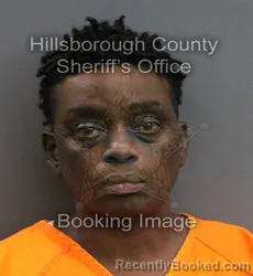 Mugshot of VENDALYN TAKIYAH ADDERLEY booked in Hillsborough County, Florida on June 13, 2026