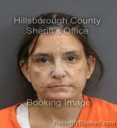 Mugshot of CRYSTAL RHIANNON MILLS booked in Hillsborough County, Florida on June 13, 2026