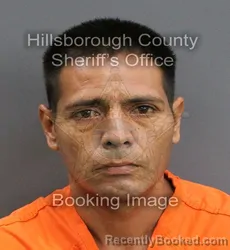 Mugshot of LEONEL GARCIA ISABEL booked in Hillsborough County, Florida on June 13, 2026