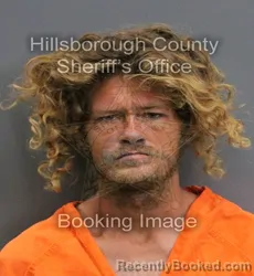 Mugshot of STEVEN ADAM MCNAMARA booked in Hillsborough County, Florida on June 13, 2026