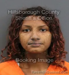 Mugshot of JAYLYNN MICHELLODESSA MOYET booked in Hillsborough County, Florida on June 13, 2026