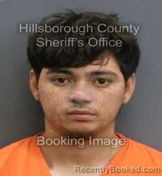 Mugshot of LUIS FERNANDO DEL CID HERNANDEZ booked in Hillsborough County, Florida on June 13, 2026