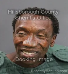 Mugshot of DUSTIN DIREL ROBINSON booked in Hillsborough County, Florida on June 13, 2026