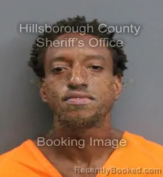 Mugshot of KIRK BARNADO JACKSON booked in Hillsborough County, Florida on June 13, 2026