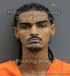 Mugshot of CHRISTIAN EMANUEL HENLEY booked in Hillsborough County, Florida on June 13, 2026