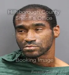 Mugshot of SHAKEEB KESTER CHIN booked in Hillsborough County, Florida on June 13, 2026