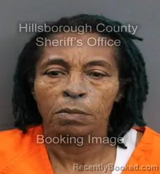 Mugshot of DEBORAH MARICHAL DAVENPORT booked in Hillsborough County, Florida on June 13, 2026