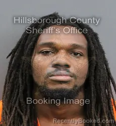 Mugshot of CHRISTOPHER IAN SINGLETON booked in Hillsborough County, Florida on June 13, 2026