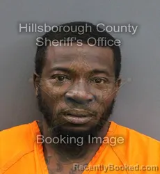 Mugshot of AKEEM MICHAEL BRANT booked in Hillsborough County, Florida on June 13, 2026