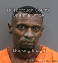 Mugshot of MYKAL NKOMO BRANTLEY booked in Hillsborough County, Florida on June 13, 2026