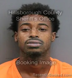 Mugshot of ZAYBRION CHRISTOPHER MUNNS-SHEFFIELD booked in Hillsborough County, Florida on June 13, 2026