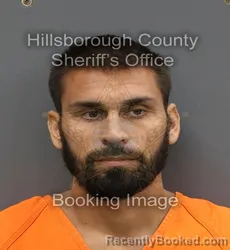 Mugshot of NICK NARESH NARINE