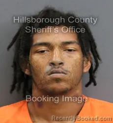 Mugshot of STEPHEN JOSH JR MCCARTY booked in Hillsborough County, Florida on June 13, 2026