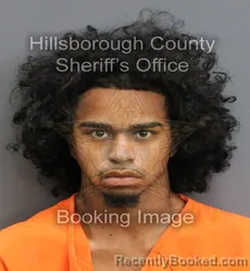 Mugshot of GILBERTO JR TORRES booked in Hillsborough County, Florida on June 13, 2026