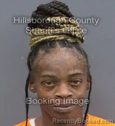 Mugshot of LAKESHA QUASHAWNDA STEPHENS booked in Hillsborough County, Florida on June 13, 2026