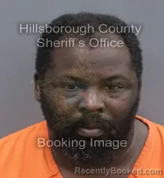 Mugshot of RONNIE LEE LAKES booked in Hillsborough County, Florida on June 13, 2026