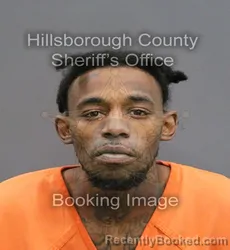 Mugshot of DEVIN REED FRIESLANDER booked in Hillsborough County, Florida on June 13, 2026