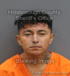 Mugshot of DONALD MATIAS COJOC CU booked in Hillsborough County, Florida on June 13, 2026