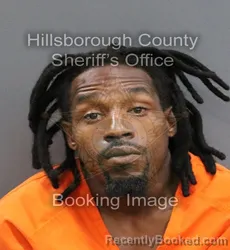 Mugshot of WALTER JR CUTLER booked in Hillsborough County, Florida on June 13, 2026