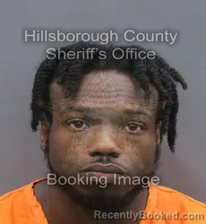 Mugshot of ERICK-MICHAEL THOMAS JONES booked in Hillsborough County, Florida on June 13, 2026