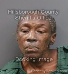Mugshot of ERICA DENISE BATTLE booked in Hillsborough County, Florida on June 13, 2026