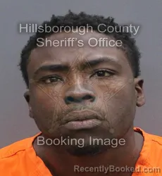 Mugshot of JAYLIN TYRIQQUE WALKER booked in Hillsborough County, Florida on June 13, 2026