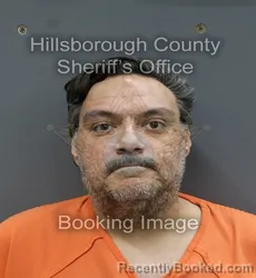 Mugshot of RONALD ROA