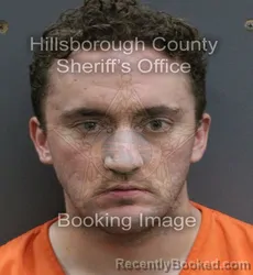 Mugshot of COLE ROBERT CRAMER booked in Hillsborough County, Florida on June 14, 2026