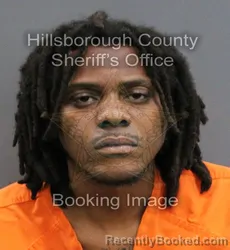 Mugshot of JUMETRIS RESHAAD ANDERSON booked in Hillsborough County, Florida on June 14, 2026