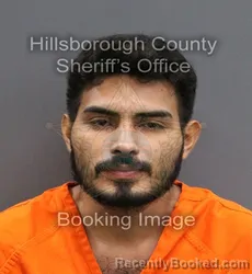 Mugshot of DENNY D BARRIENTOS QUINTANIL booked in Hillsborough County, Florida on June 14, 2026