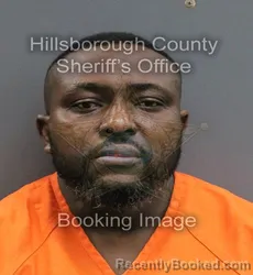 Mugshot of PAUL AGUEBOR booked in Hillsborough County, Florida on June 14, 2026
