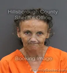 Mugshot of AMY MARIE PENDER booked in Hillsborough County, Florida on June 14, 2026