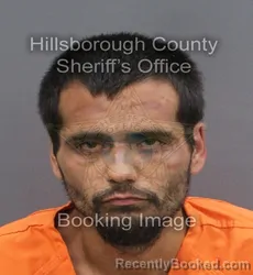 Mugshot of ROCKY MANUEL HART booked in Hillsborough County, Florida on June 14, 2026