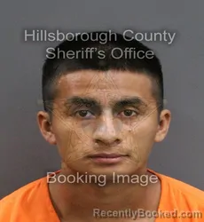Mugshot of AIMER ELIAZER MORALES PEREZ booked in Hillsborough County, Florida on June 14, 2026