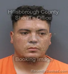 Mugshot of RAFAEL LEONALDO DE LOS RIOS booked in Hillsborough County, Florida on June 14, 2026