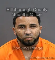 Mugshot of RHONALD DAVI ESCALONA NOGUERA booked in Hillsborough County, Florida on June 14, 2026