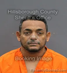 Mugshot of RAMON PORTORREAL LAJARA booked in Hillsborough County, Florida on June 14, 2026