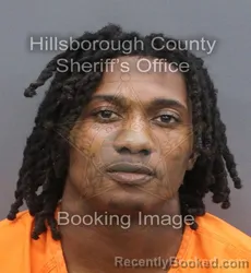 Mugshot of AHXAVIAUS LORENZO JUNE ONEAL booked in Hillsborough County, Florida on June 14, 2026
