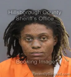 Mugshot of JASMINE NEVAEH NICKERSON booked in Hillsborough County, Florida on June 14, 2026