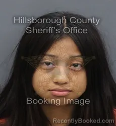 Mugshot of ADRIANA GONZALEZ-DIAZ booked in Hillsborough County, Florida on June 14, 2026