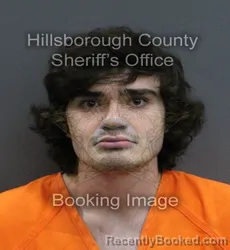 Mugshot of JUSTIN WILLIAM TYLER TURNER booked in Hillsborough County, Florida on June 14, 2026