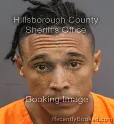 Mugshot of ERNESTO JOSE CABREJA OBREGON booked in Hillsborough County, Florida on June 14, 2026