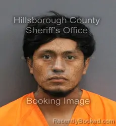 Mugshot of RICARDO DIAZ-GONZALES booked in Hillsborough County, Florida on June 14, 2026