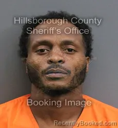 Mugshot of MCKINLEY DOUGLAS MARCUS booked in Hillsborough County, Florida on June 14, 2026