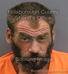 Mugshot of ANTHONY NICHOLAS MCCONNELL booked in Hillsborough County, Florida on June 14, 2026